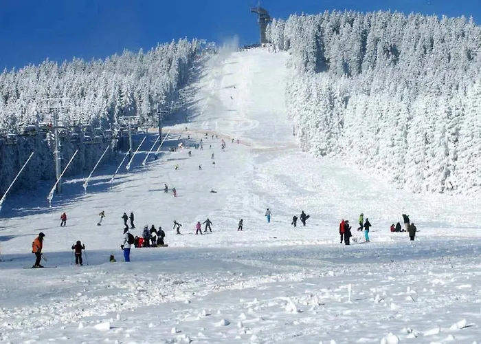 Daire Harzkind Braunlage